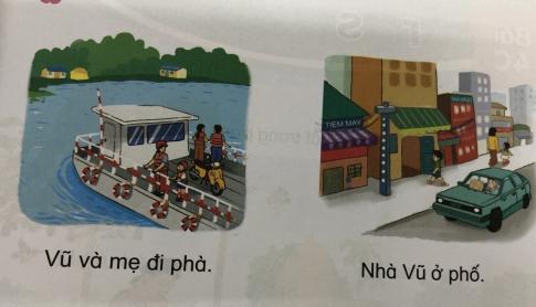 [Phát triển năng lực] Tiếng việt 1 bài 4B: p -ph, v