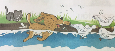 [Cánh điều] Giải Tiếng Việt 1 tập 2 bài 126: uyn, uyt