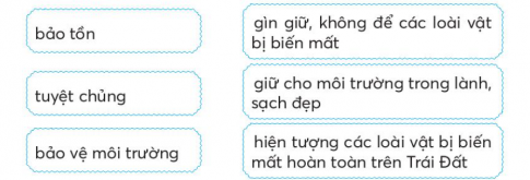 [CTST] Giải VBT Tiếng Việt 2 bài 4: Hừng đông mặt biển