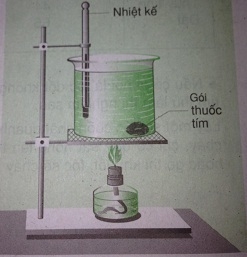 Trả lời câu hỏi C1,C2,C3 bài 23: Đối lưu - Bức xạ nhiệt - sgk Vật lí 8 trang 80