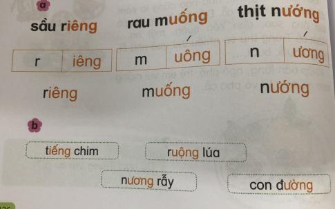 [Phát triển năng lực] Tiếng việt 1 bài 14A: iêng, uông, ương