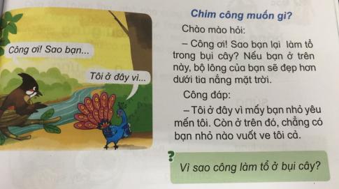 [Phát triển năng lực] Tiếng việt 1 bài 13D: ong, ông