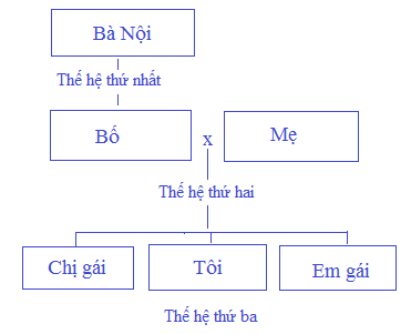 [Cánh diều] Giải tự nhiên và xã hội 2 bài 1: Các thế hệ trong gia đình