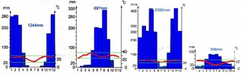 Bài 28: Thực hành phân tích lược đồ phân bố các môi trường tự nhiên, biểu đồ nhiệt độ và lượng mưa ở châu Phi