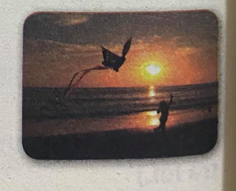 Bài tập cuối tuần Tiếng anh 5 tuần 36 unit 18: Phần nâng cao