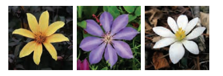 [Phát triển năng lực] Giải toán 1 bài: Số 8, số 9