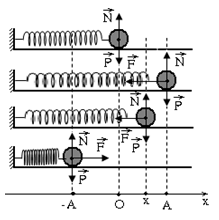 Bài 2: Con lắc lò xo