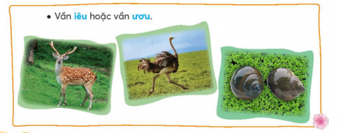 [Chân trời sáng tạo] Giải tiếng việt 2 bài 2: Con suối bản tôi