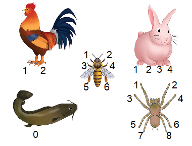 [Cánh diều] Giải toán 1 bài: Luyện tập trang 20