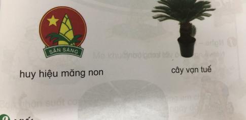 [Phát triển năng lực] Tiếng việt 1 bài 17B: uê, uy, uơ