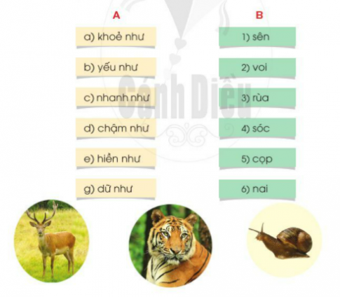 [Cánh Diều] Giải tiếng việt 2 bài 25: Thế giới rừng xanh