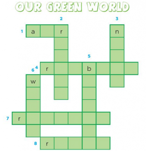 Giải SBT tiếng anh 6 Global success unit 11: Vocabulary & Grammar