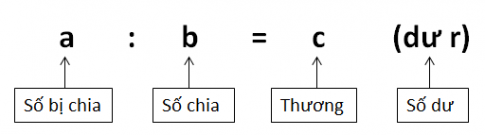 Giải bài : Phép chia - sgk Toán 5 trang 163