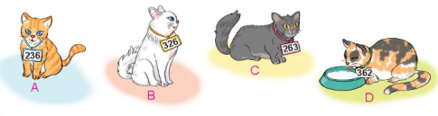 [Kết nối tri thức và cuộc sống] Giải toán 2 bài 53: So sánh các số có ba chữ số