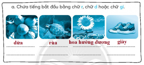 [CTST] Giải VBT Tiếng Việt 2 bài 2: Rừng ngặp mặn Cà Mau