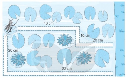[KNTT] Giải VBT Toán 2 bài 20: Phép cộng (có nhớ) số có hai chữ số với số có hai chữ số