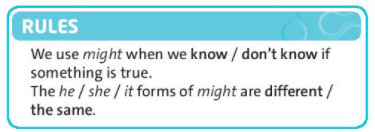 [Friends plus] Wild life - Language Focus (Question with How..?)