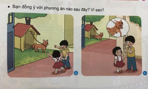 [Phát triển năng lực] Giải tự nhiên và xã hội 1 Bài 21: Ôn tập chủ đề Động vật và thực vật