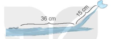 [KNTT] Giải VBT Toán 2 bài 20: Phép cộng (có nhớ) số có hai chữ số với số có hai chữ số