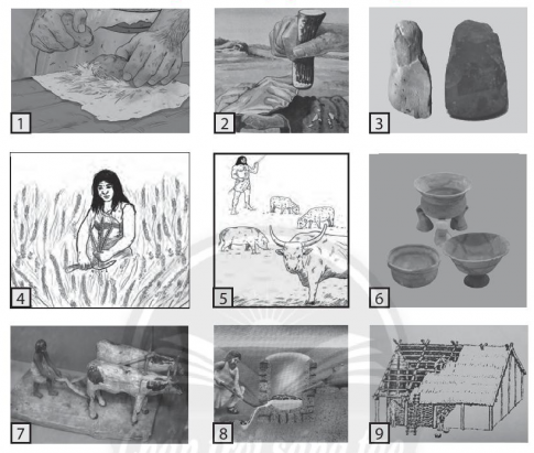 [CTST] Giải SBT lịch sử và địa lí 6 bài 5: Sự chuyển biến từ xã hội nguyên thủy đến xã hội có giai cấp