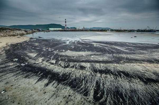 Muốn khai thác lâu bền và bảo vệ tốt môi trường biển Việt Nam, chúng ta cần phải làm gì?