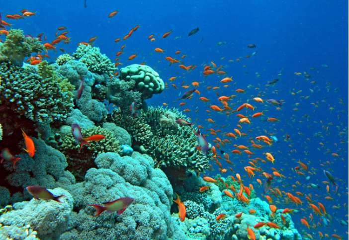 Biển đã đem lại những thuận lợi và khó khăn gì đối với kinh tế và đời sống của nhân dân ta