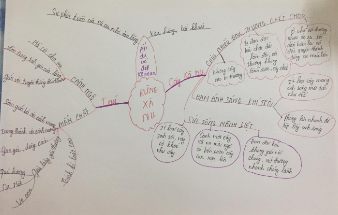 Sơ đồ tư duy Rừng xà nu