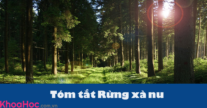 Tóm tắt Rừng xà nu