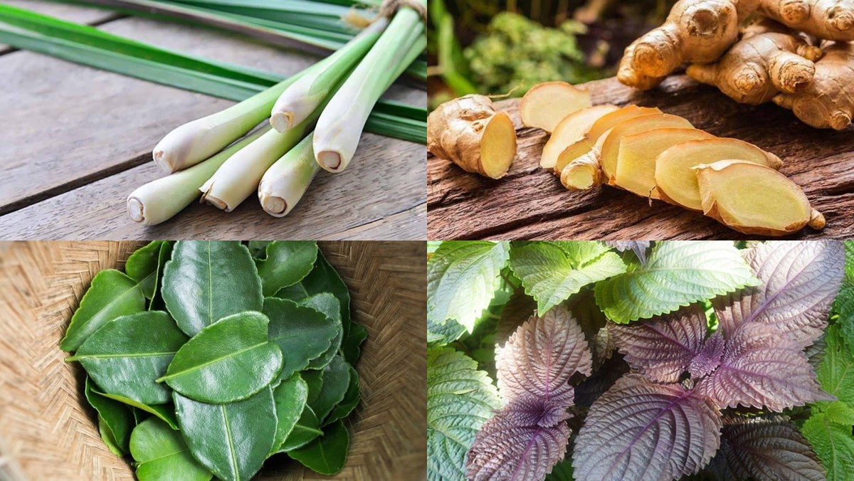 Các loại lá xông Covid