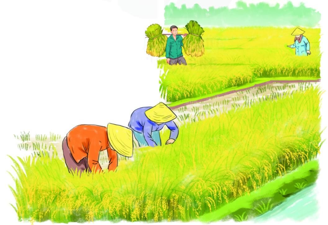 Đề thi giữa học kì 2 lớp 2