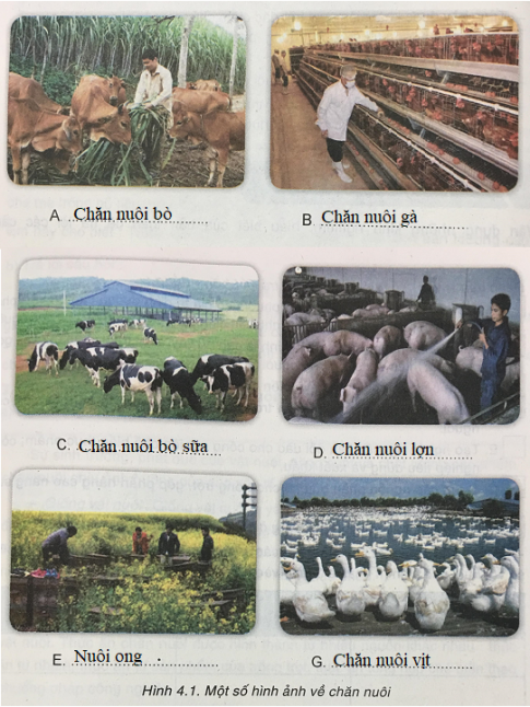 Giải Công nghệ 7 bài 4