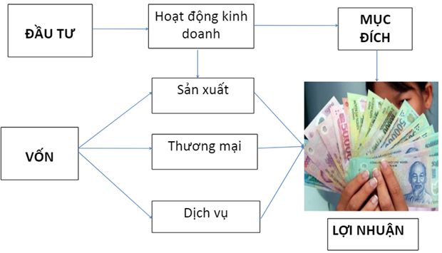 Trắc nghiệm Công nghệ 10 bài 49 có đáp án