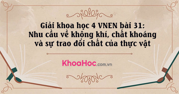 Giải khoa học 4 VNEN bài 31: Nhu cầu về không khí, chất khoáng và sự trao đổi chất của thực vật