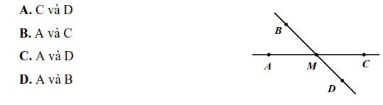 Đề cương ôn tập học kì 2 Toán 6 Trường THPT chuyên Hà Nội - Amsterdam năm 2021 - 2022