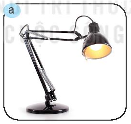 Đề thi học kì 2 lớp 6 môn Công nghệ KNTT