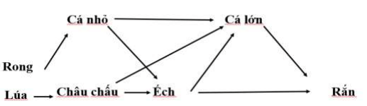 Đề thi học kì 2 lớp 9 môn Sinh