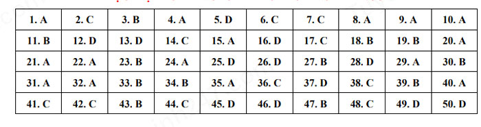 Đáp án thi vào 10 môn Anh 2022