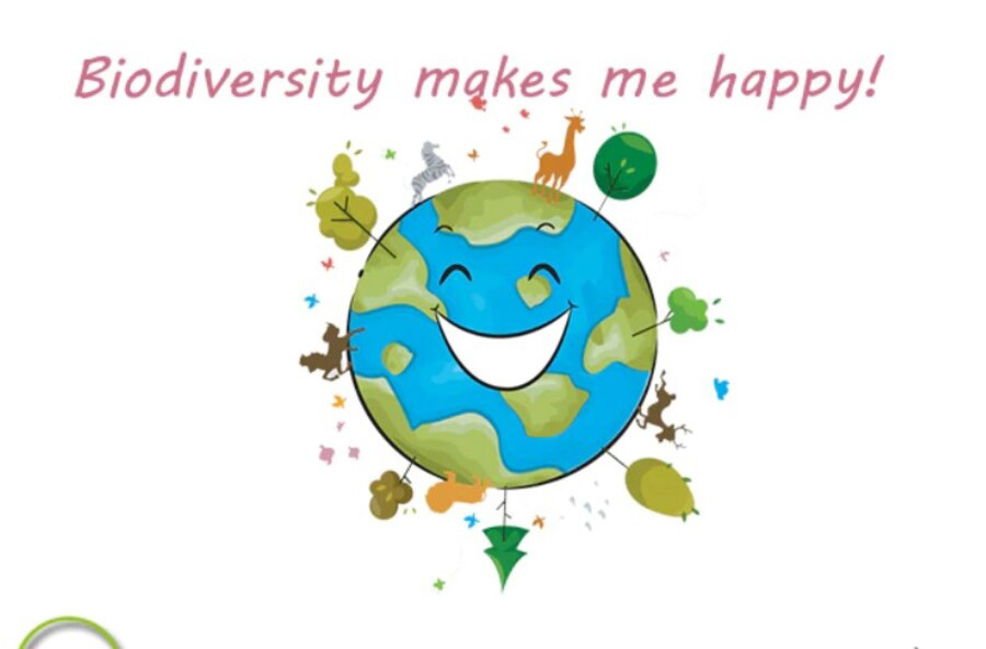 Cần làm gì để bảo vệ sự đa dạng sinh học