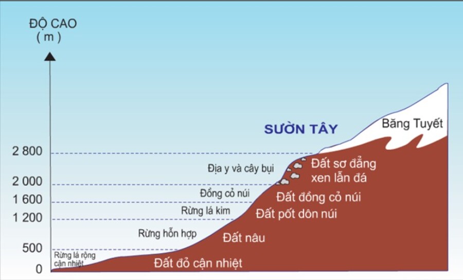 So sánh quy luật địa ô và quy luật đai cao