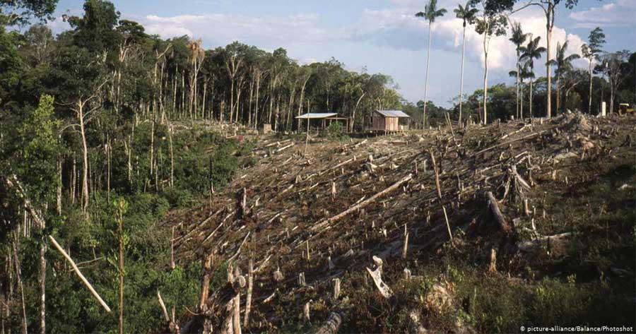 Thực trạng về đa dạng sinh học