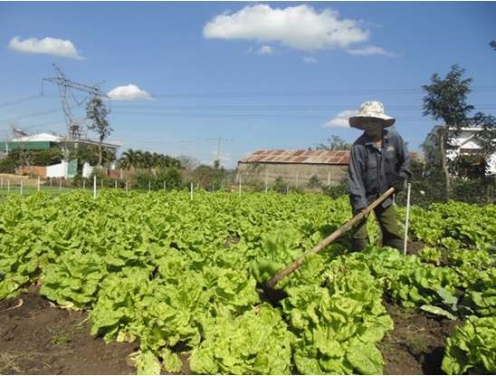 Đặt 3 câu theo mẫu ai làm gì?