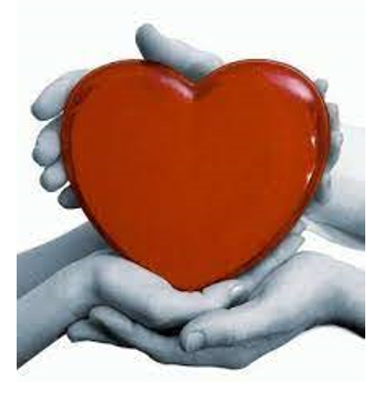 Soạn bài Yêu và đồng cảm sách KNTT