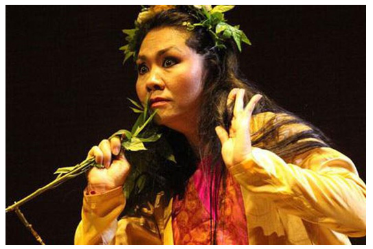 Soạn bài Xúy Vân giả dại