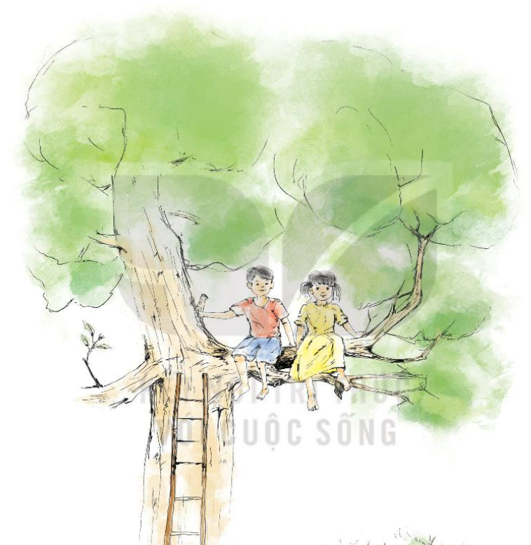 Soạn bài Ngôi nhà trên cây trang 33, 34, 35, 36, 37