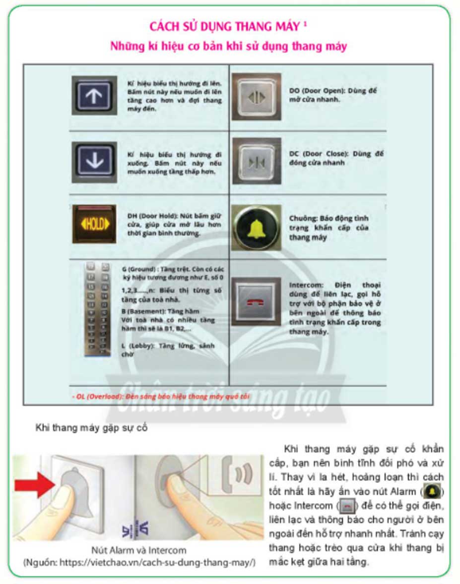 Soạn bài Viết một bản hướng dẫn nơi công cộng Chân trời sáng tạo