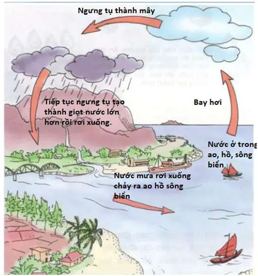 Sơ đồ vòng tuần hoàn nước