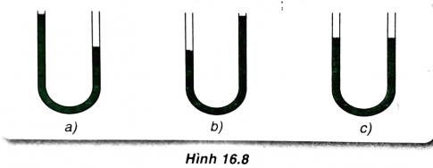 Tại sao lại dự đoán như vậy?