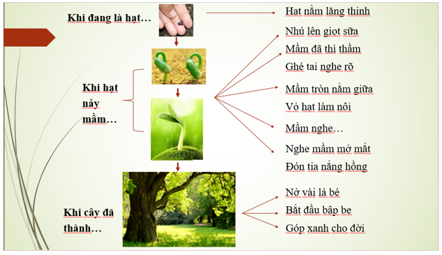 Soạn bài Lời của cây