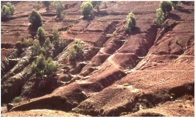 Nguyên nhân gây xói mòn đất