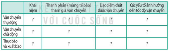Giải Sinh 10 Bài 10: Trao đổi chất qua màng tế bào KNTT